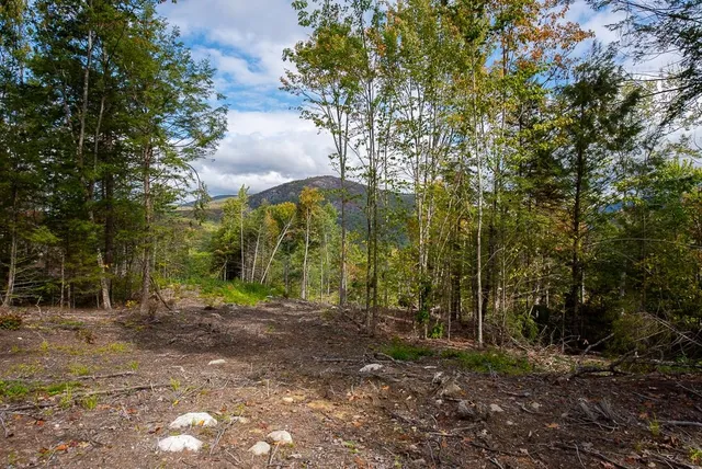 $235,000 | 15-12-10-7 15-12-10-7 Jacob Hall Farm Road, Unit 7, Rumney, NH 03266
