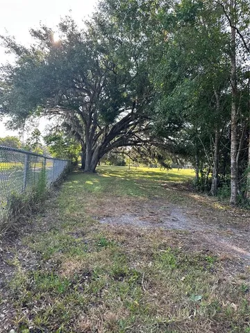 a view of a yard with a tree