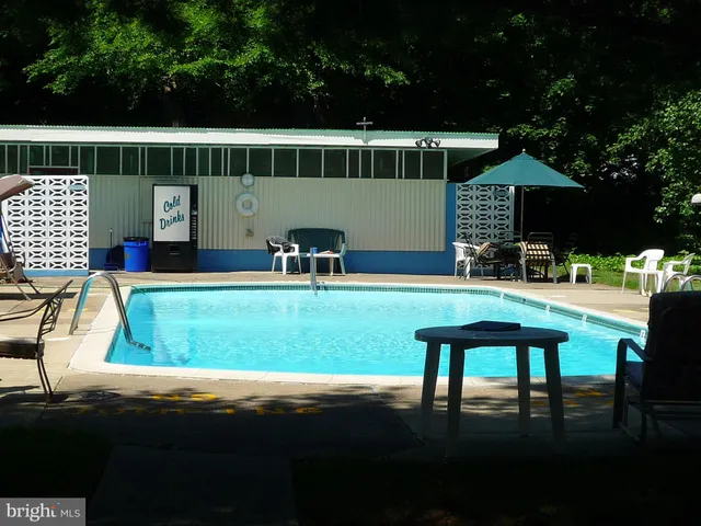 a view of backyard with seating area and trees