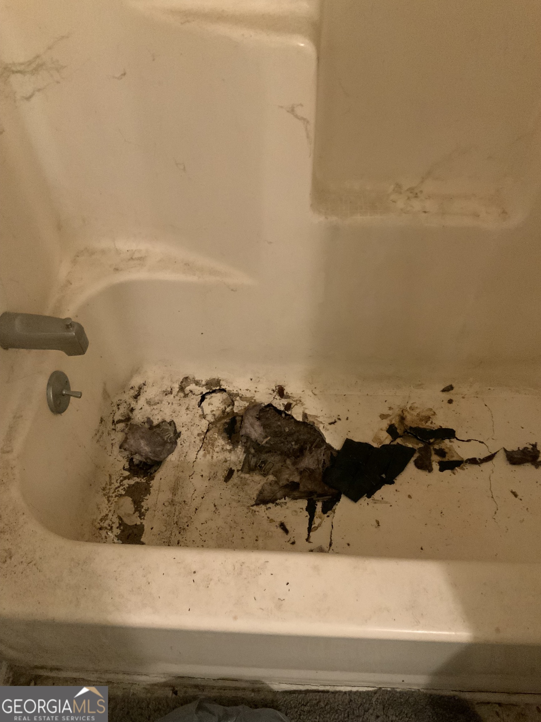 10065 Brass Ring Road Jonesboro, GA 30238 - Photo 11 of 48 a view of a bathtub