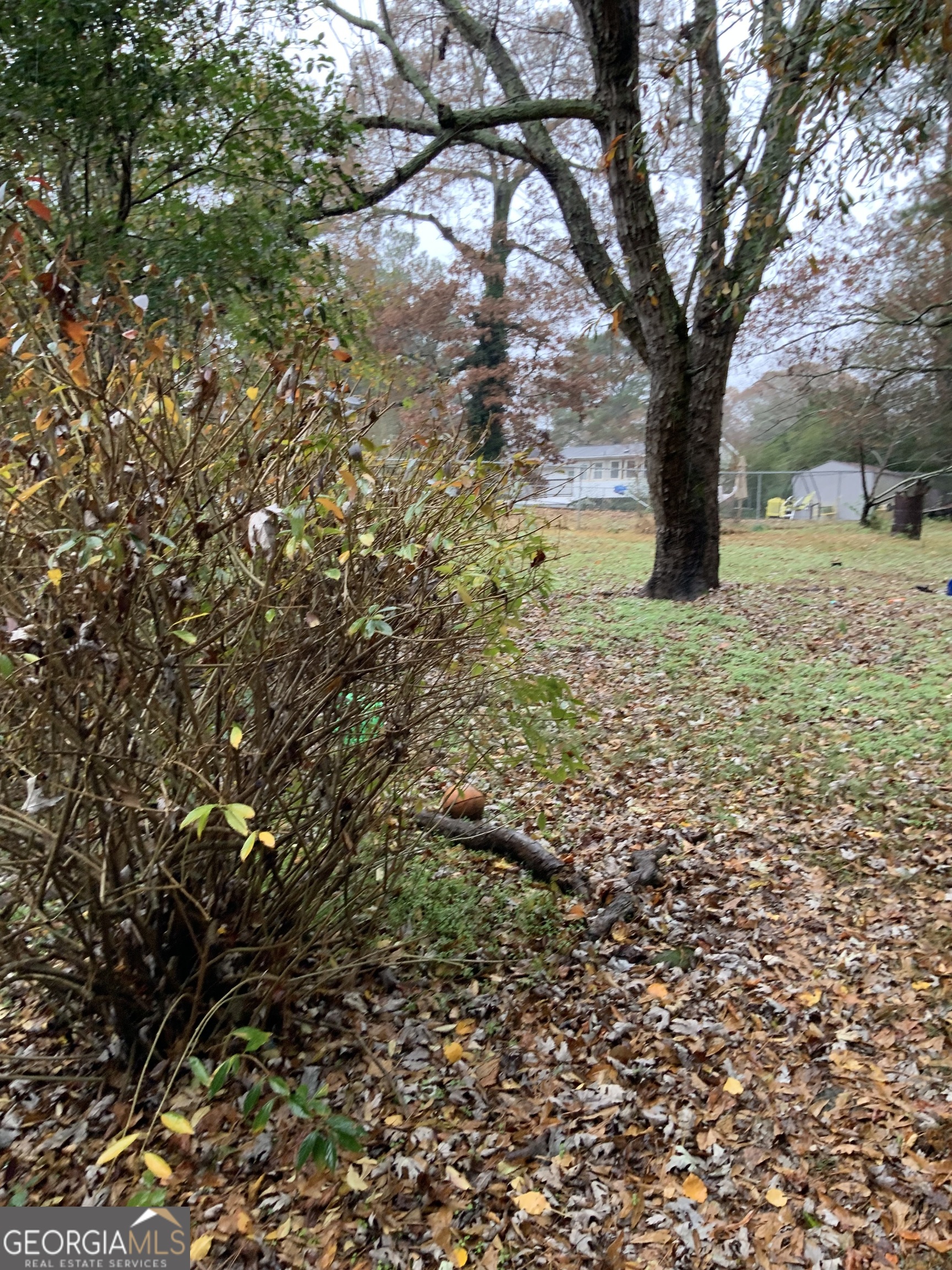 10065 Brass Ring Road Jonesboro, GA 30238 - Photo 42 of 48 a view of a yard with a tree