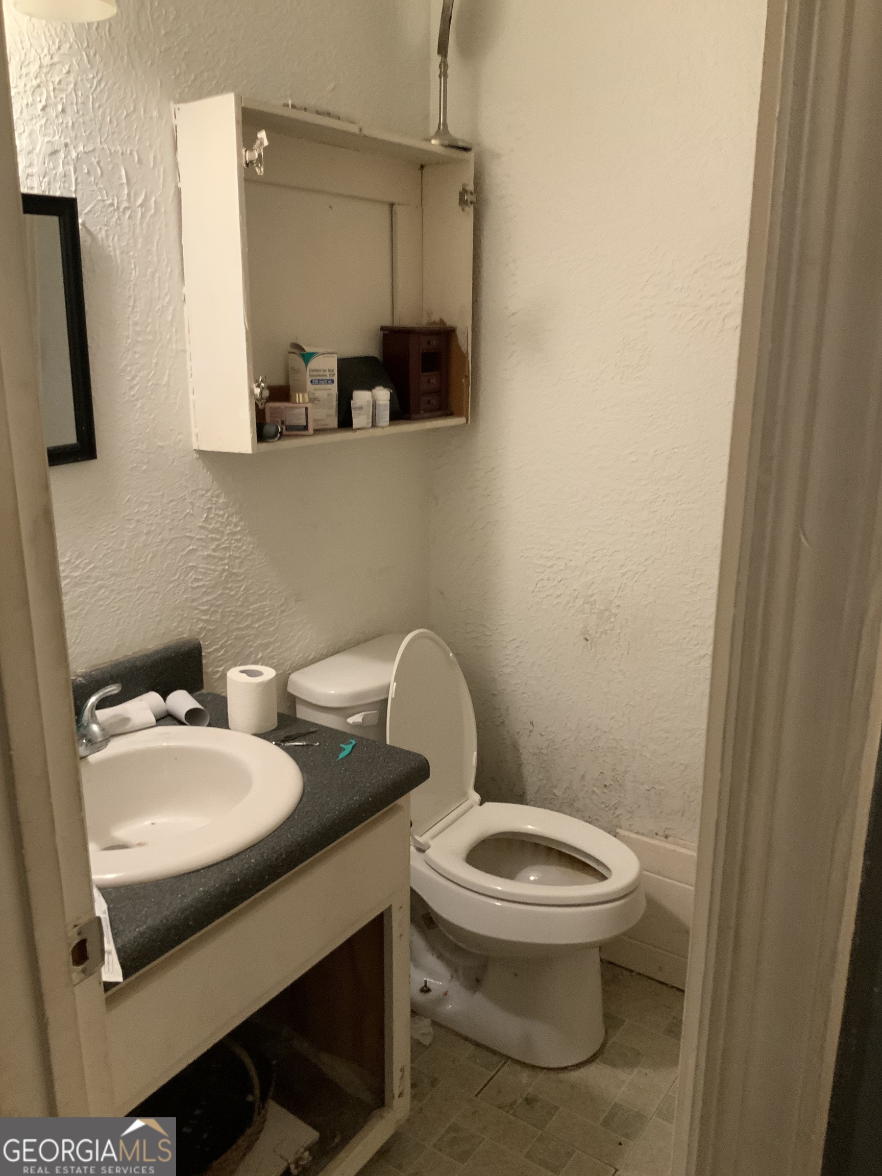 10065 Brass Ring Road Jonesboro, GA 30238 - Photo 10 of 48 a bathroom with a sink a toilet and a mirror