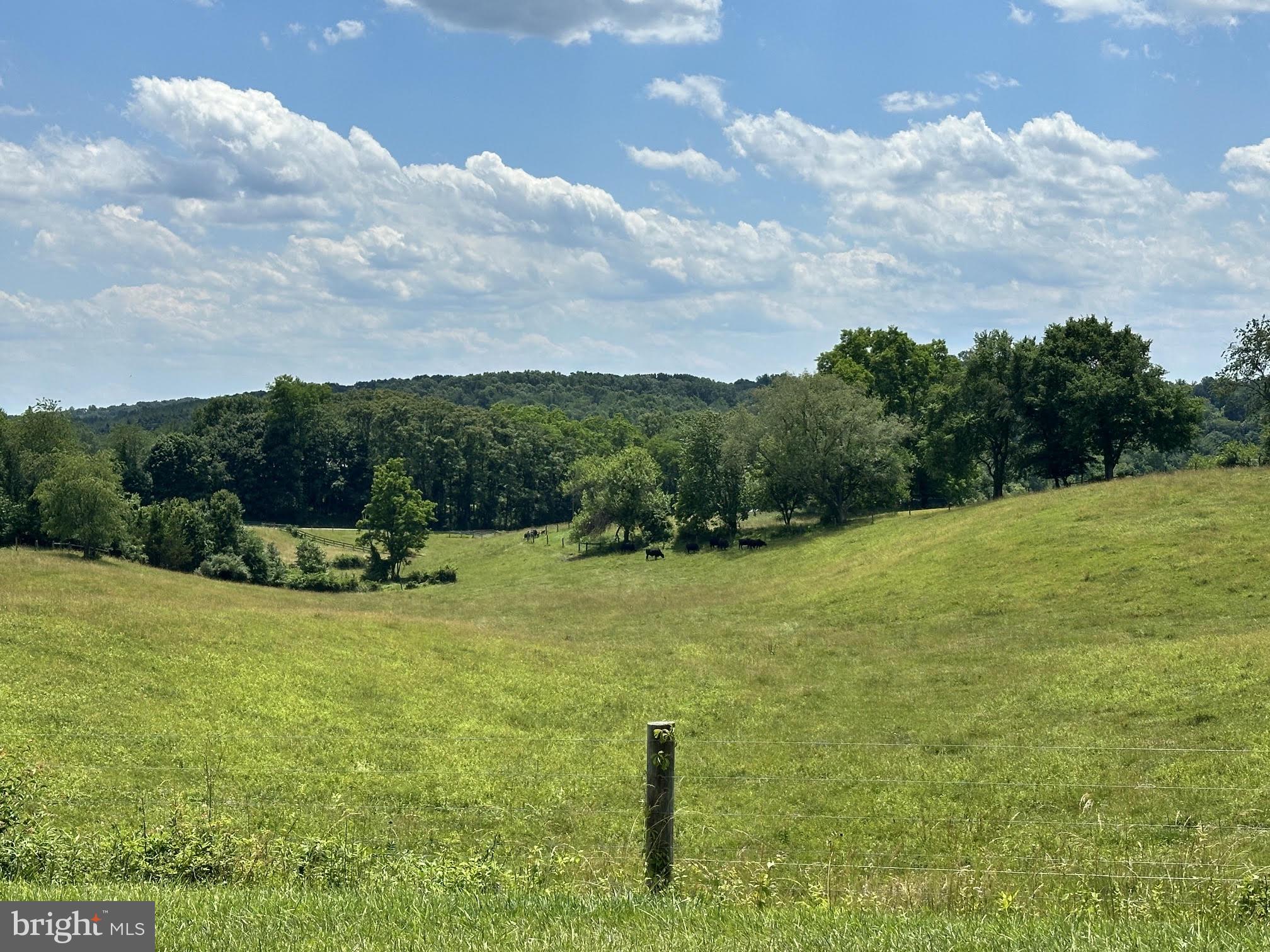 2570 Deer Park Road Finksburg, MD 21048 - Photo 7 of 14 View from mailbox