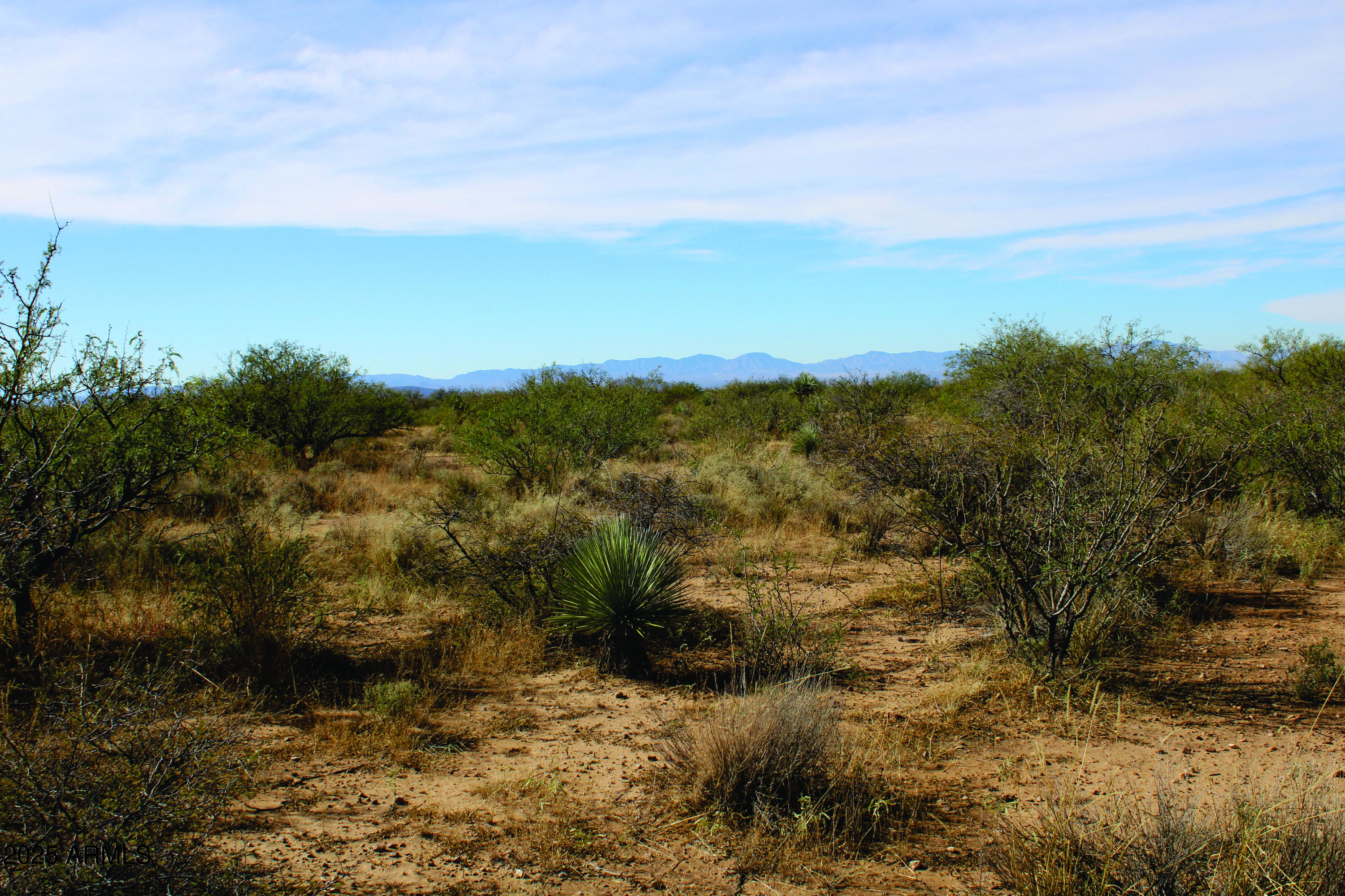 10-acres East Roadrunner Road Pearce, AZ 85625 - Photo 25 of 37 IMG_0800.JPG
