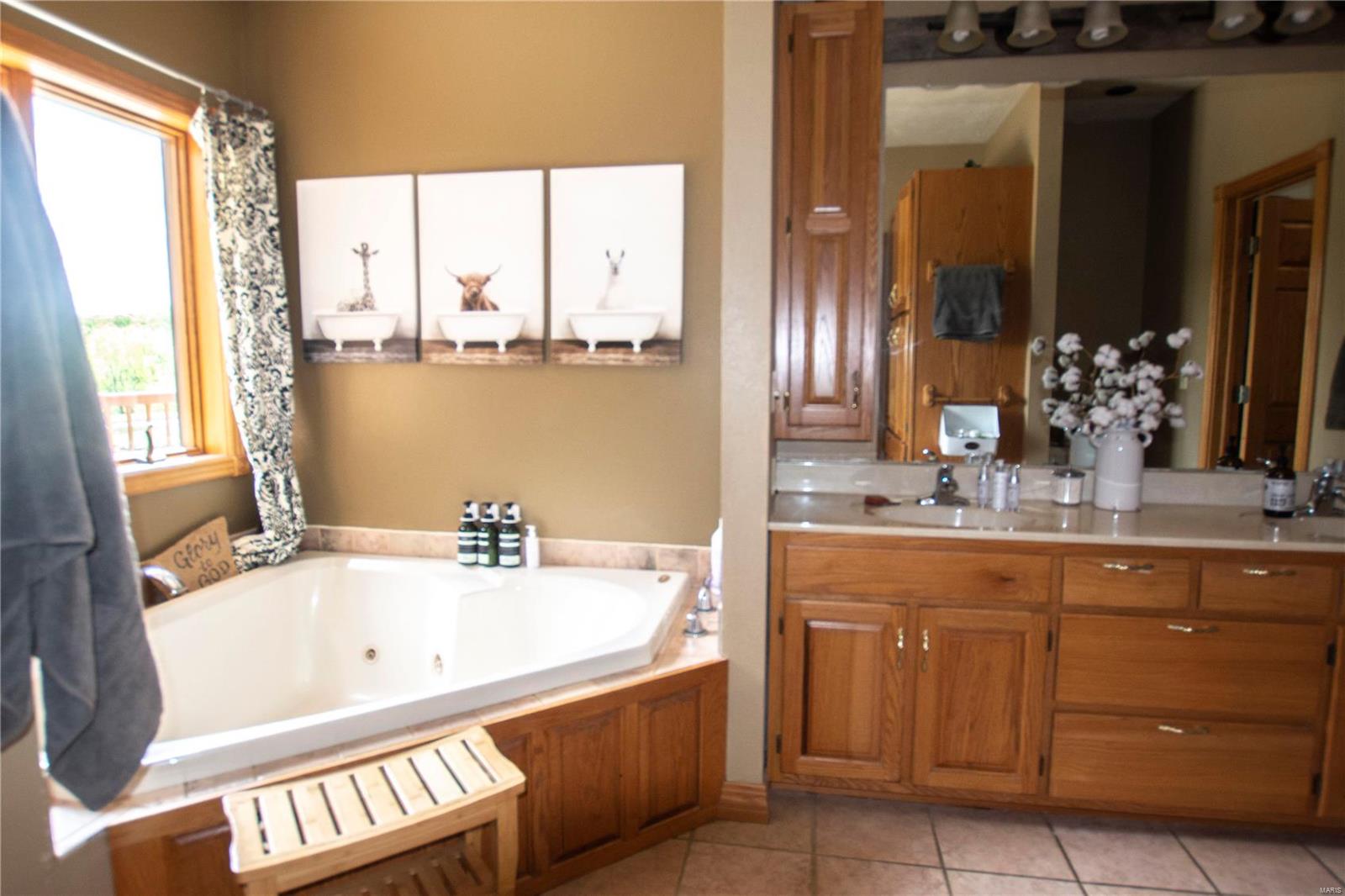 15380 Stagecoach Road Carlinville, IL 62626 - Photo 79 of 94 Gallery Image 79