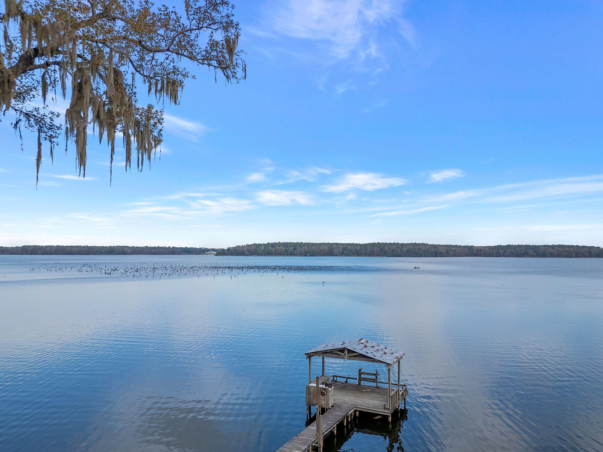 1990 Lake Point Lane Tallahassee, FL 32310 - Photo 41 of 56