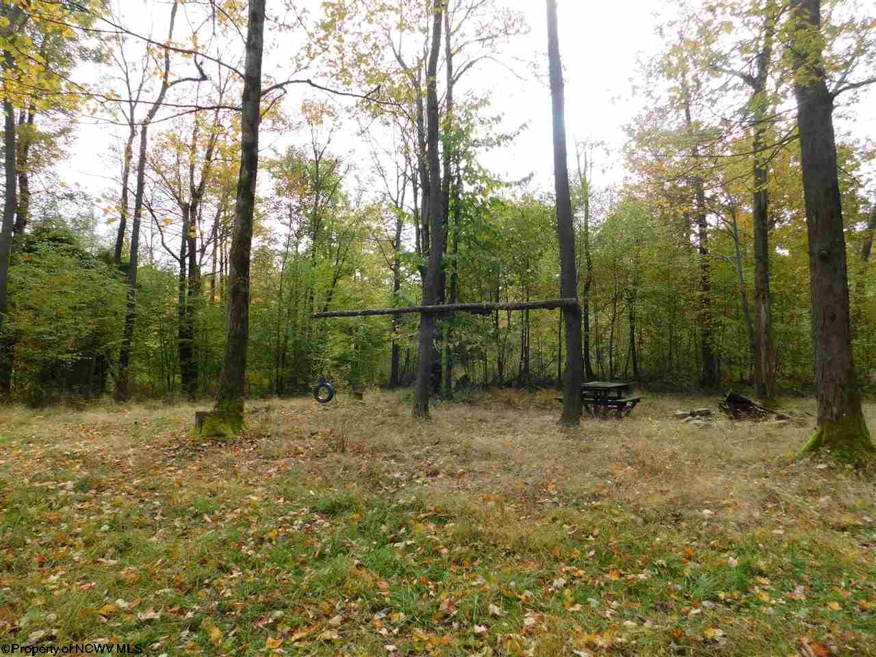 Tbd Scott Cramer Road Terra Alta, WV 26764 - Photo 8 of 19 Gallery Image 8