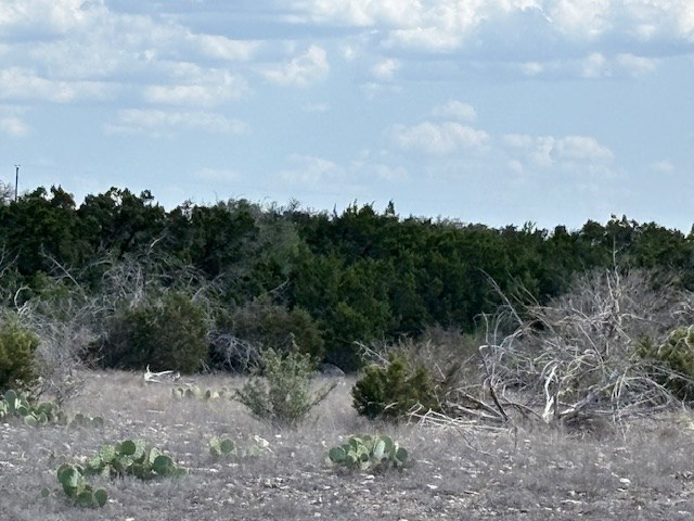 141 SD 73510 Rocksprings, TX 78880 - Photo 46 of 77