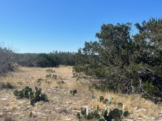 141 SD 73510 Rocksprings, TX 78880 - Photo 61 of 77