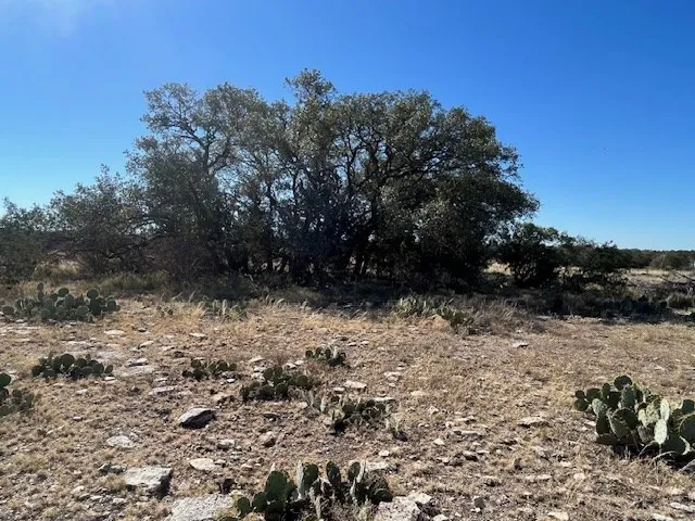 $749,900 | 141 SD 73510, Rocksprings, TX 78880