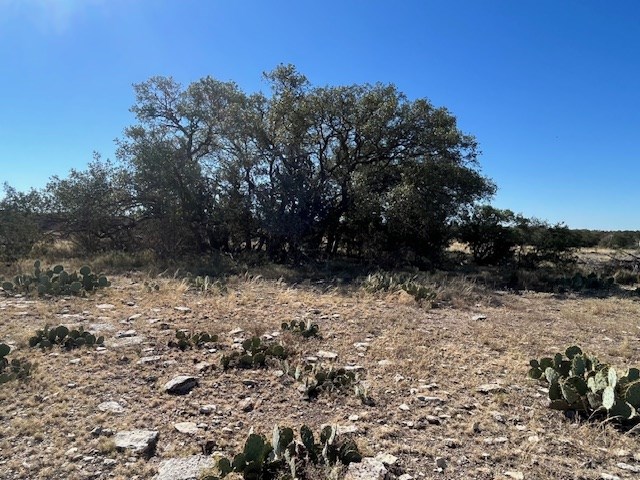 141 SD 73510 Rocksprings, TX 78880 - Photo 63 of 77