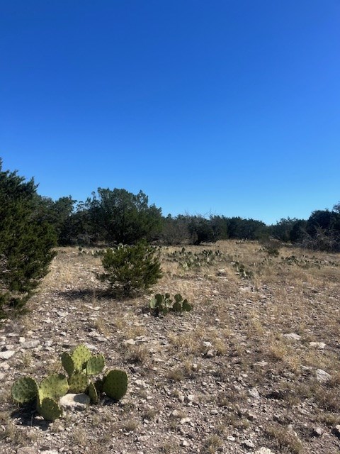 141 SD 73510 Rocksprings, TX 78880 - Photo 65 of 77