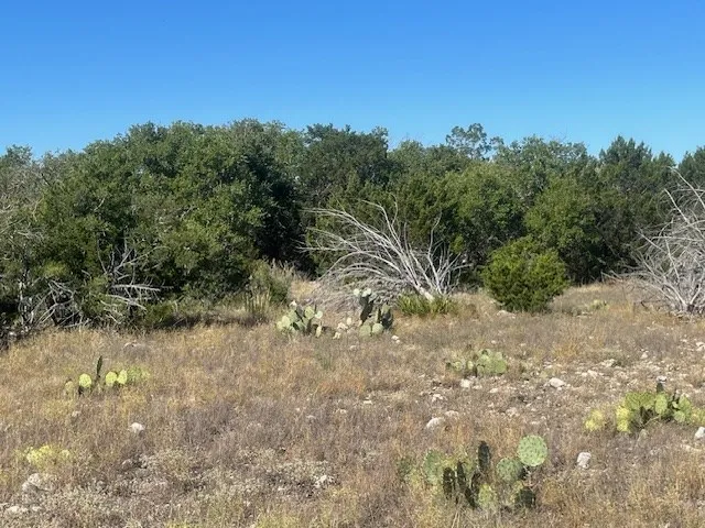 $749,900 | 141 SD 73510, Rocksprings, TX 78880