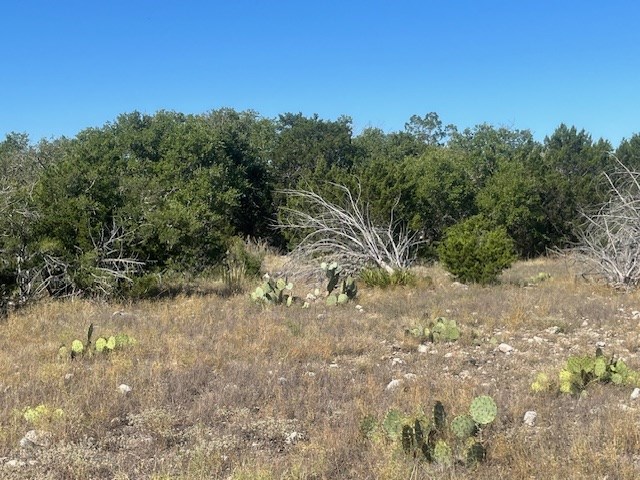 141 SD 73510 Rocksprings, TX 78880 - Photo 69 of 77