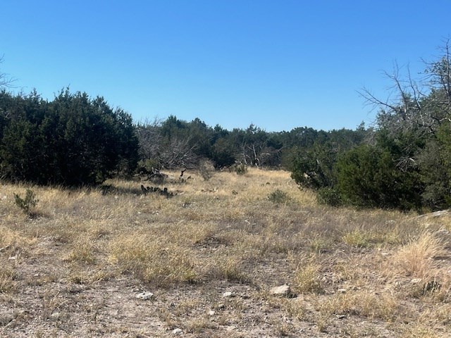 141 SD 73510 Rocksprings, TX 78880 - Photo 74 of 77