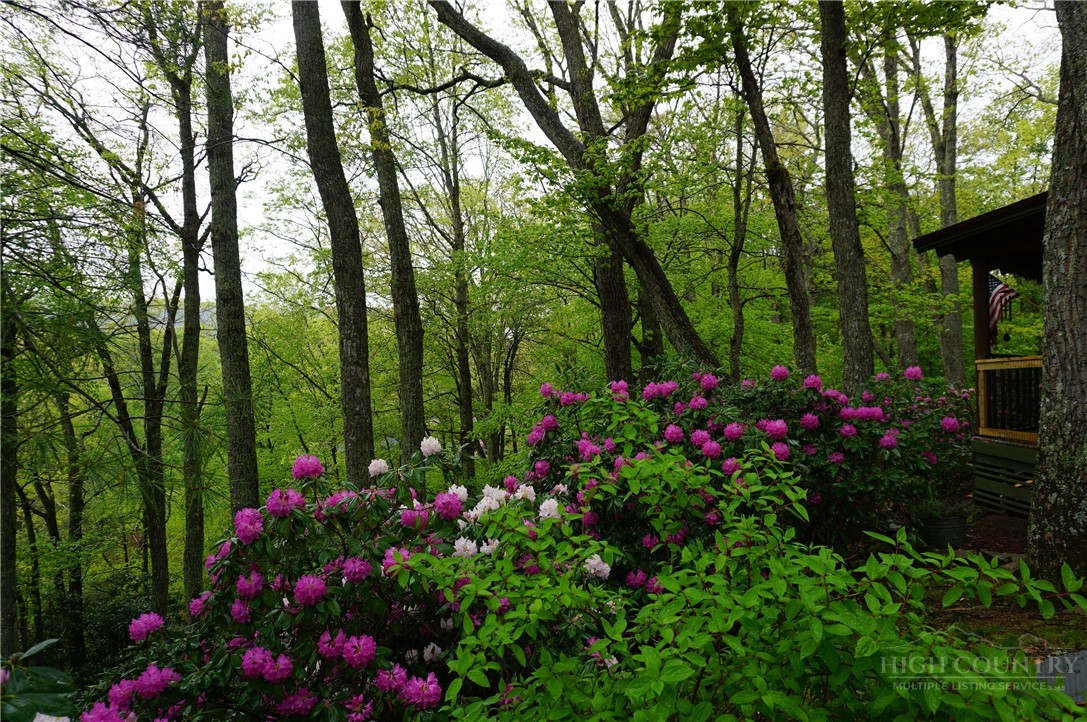 557 White Pine Road Newland, NC 28657 - Photo 39 of 41 a flower garden in a backyard of a house