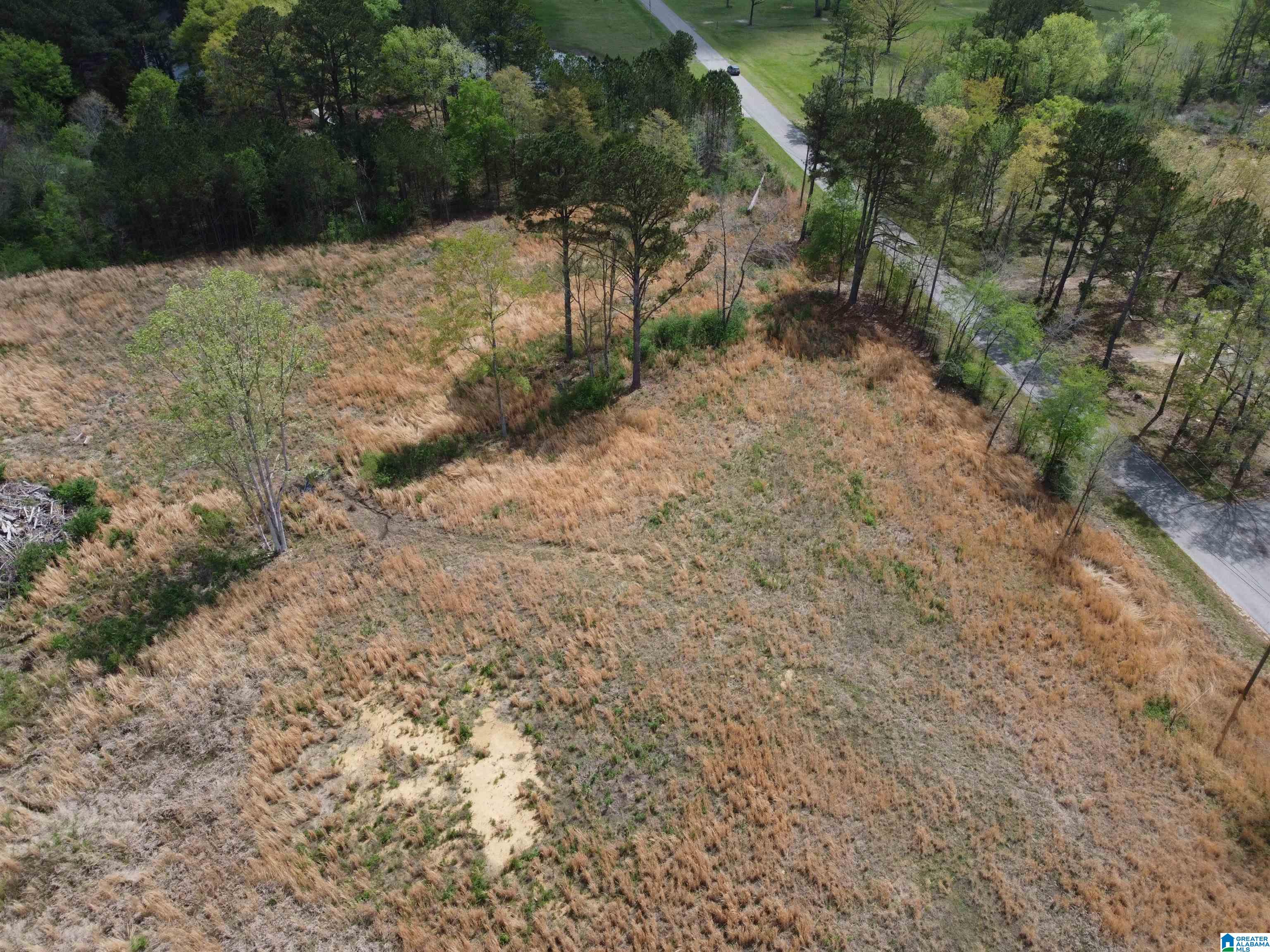 0 Greensport Road Ashville, AL 35953 - Photo 8 of 43