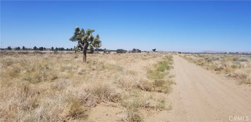 25 East E Avenue Palmdale, CA 93552 - Photo 2 of 4 a view of a dry yard with wooden fence