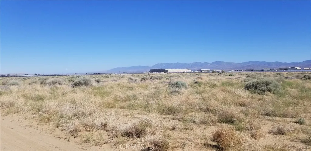 25 East E Avenue Palmdale, CA 93552 - Photo 3 of 4 a view of a dry yard with trees