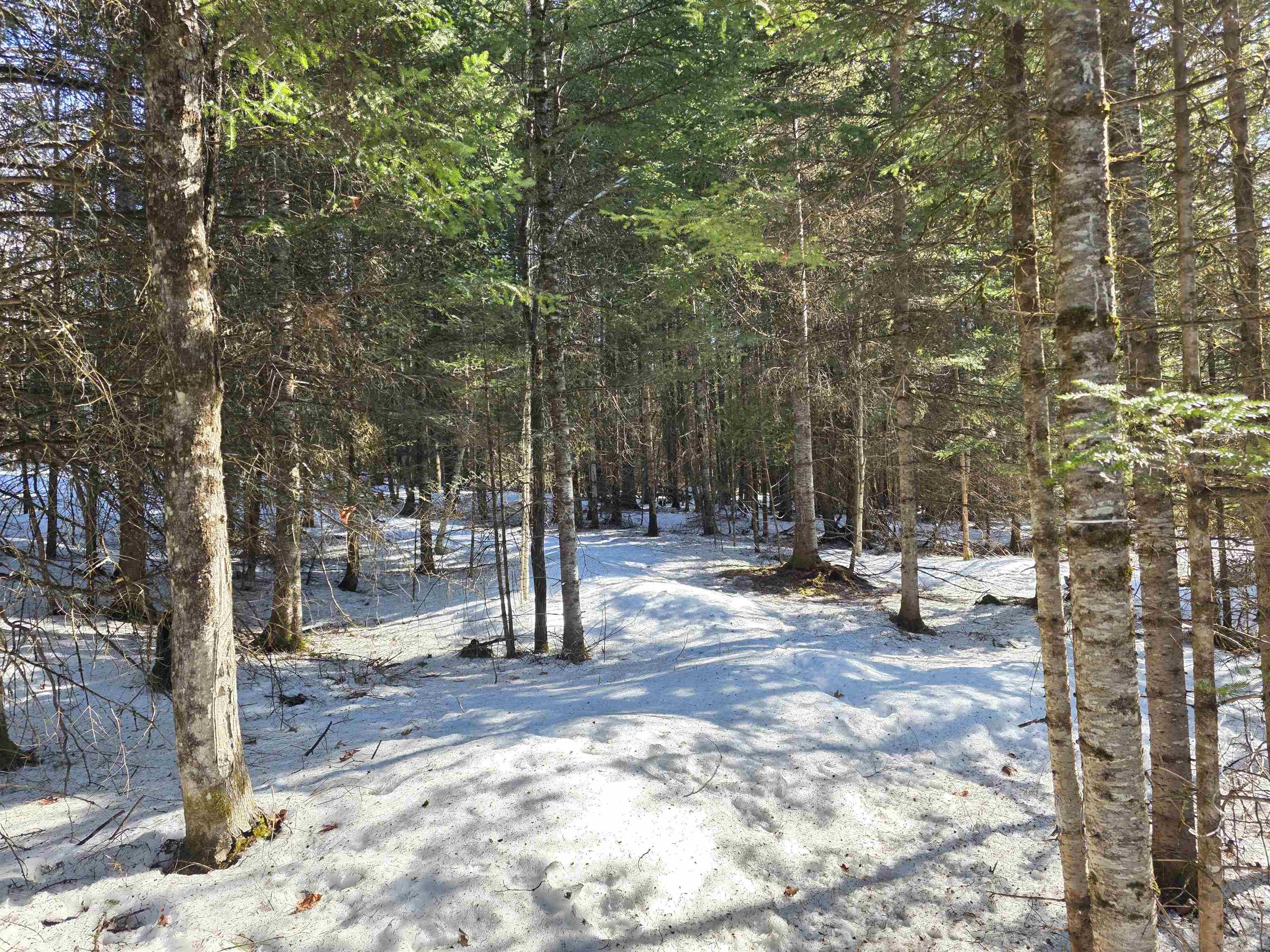 0 Old Coach Road, Unit 5 Lyndonville, VT 05851 - Photo 3 of 9