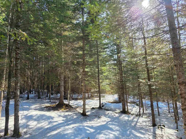 $120,000 | 0 Old Coach Road, Unit 5, Lyndonville, VT 05851