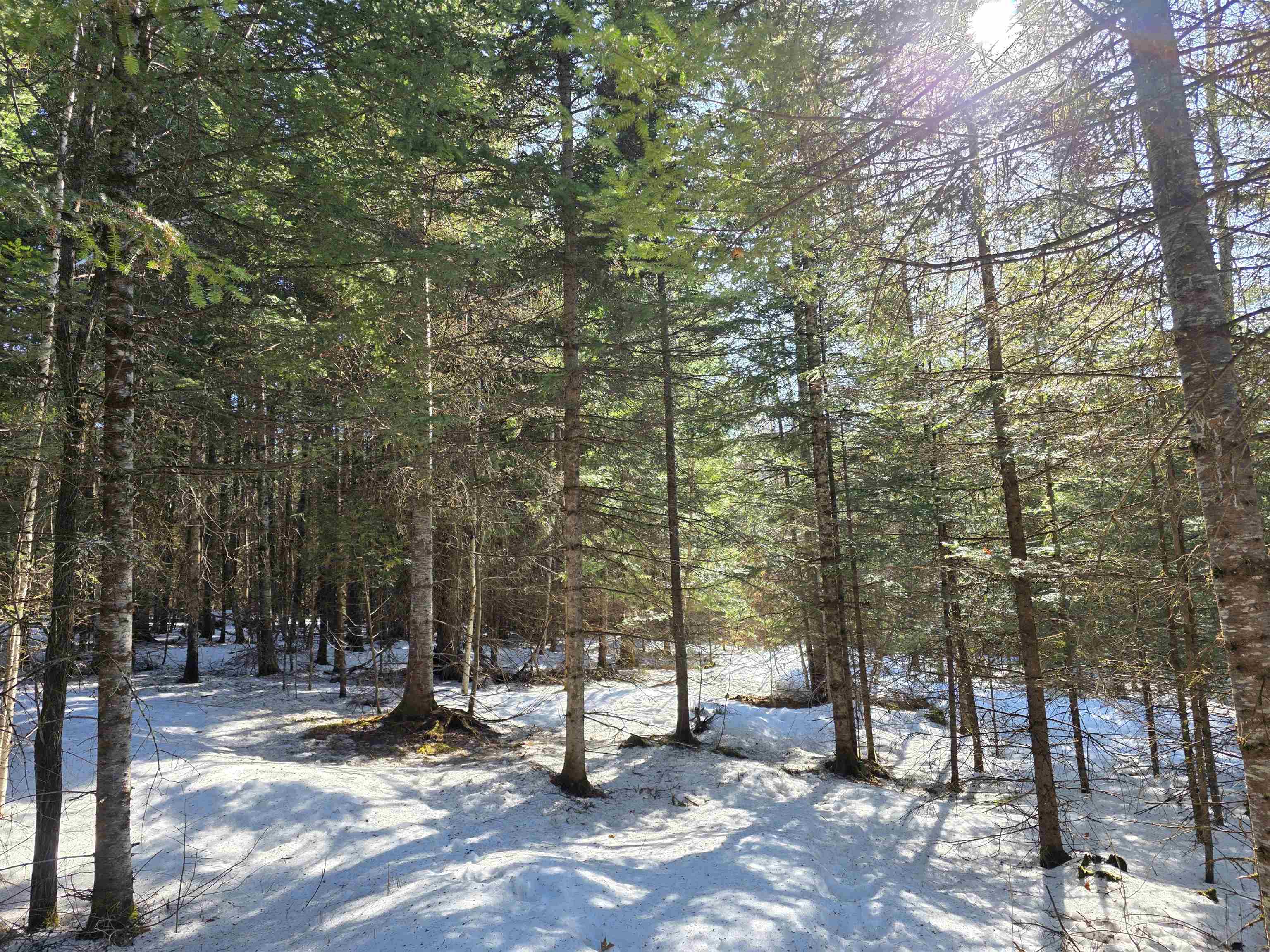 0 Old Coach Road, Unit 5 Lyndonville, VT 05851 - Photo 4 of 9