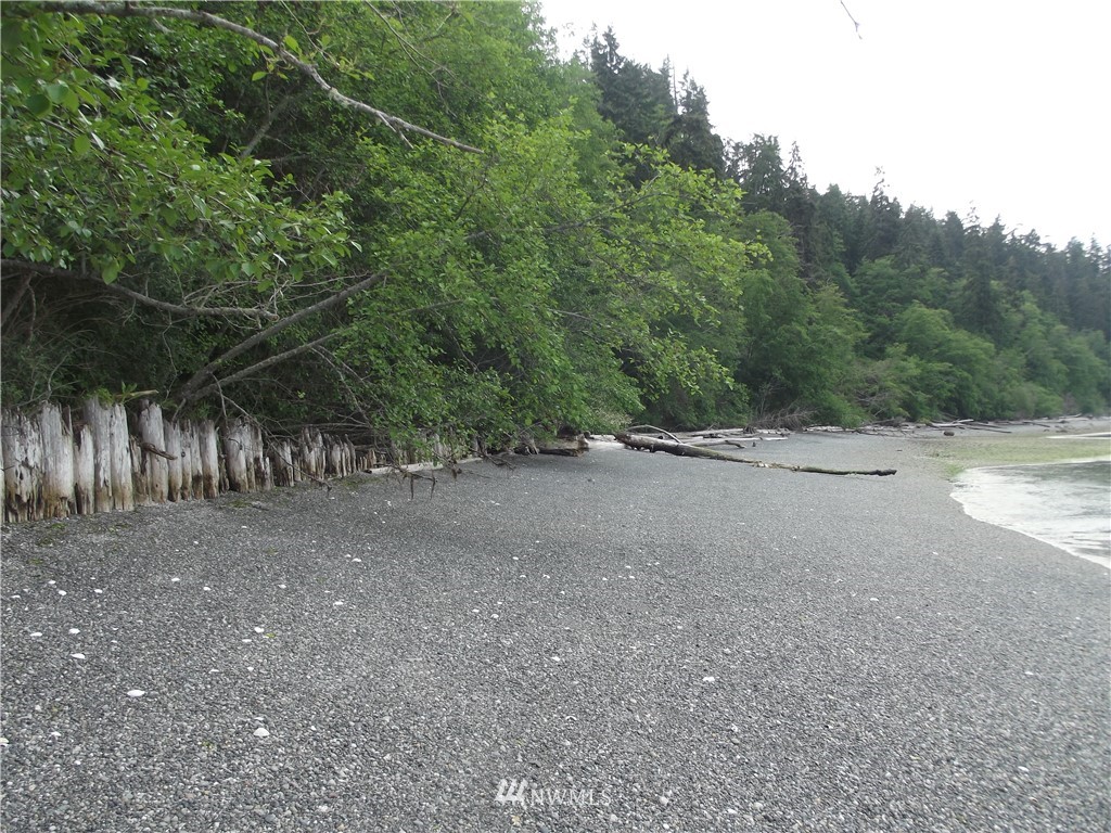 1441 North Bluff Road Coupeville, WA 98239 - Photo 5 of 10 Gallery Image 5
