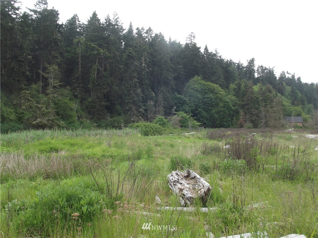 1441 North Bluff Road Coupeville, WA 98239 - Photo 10 of 10 Gallery Image 10