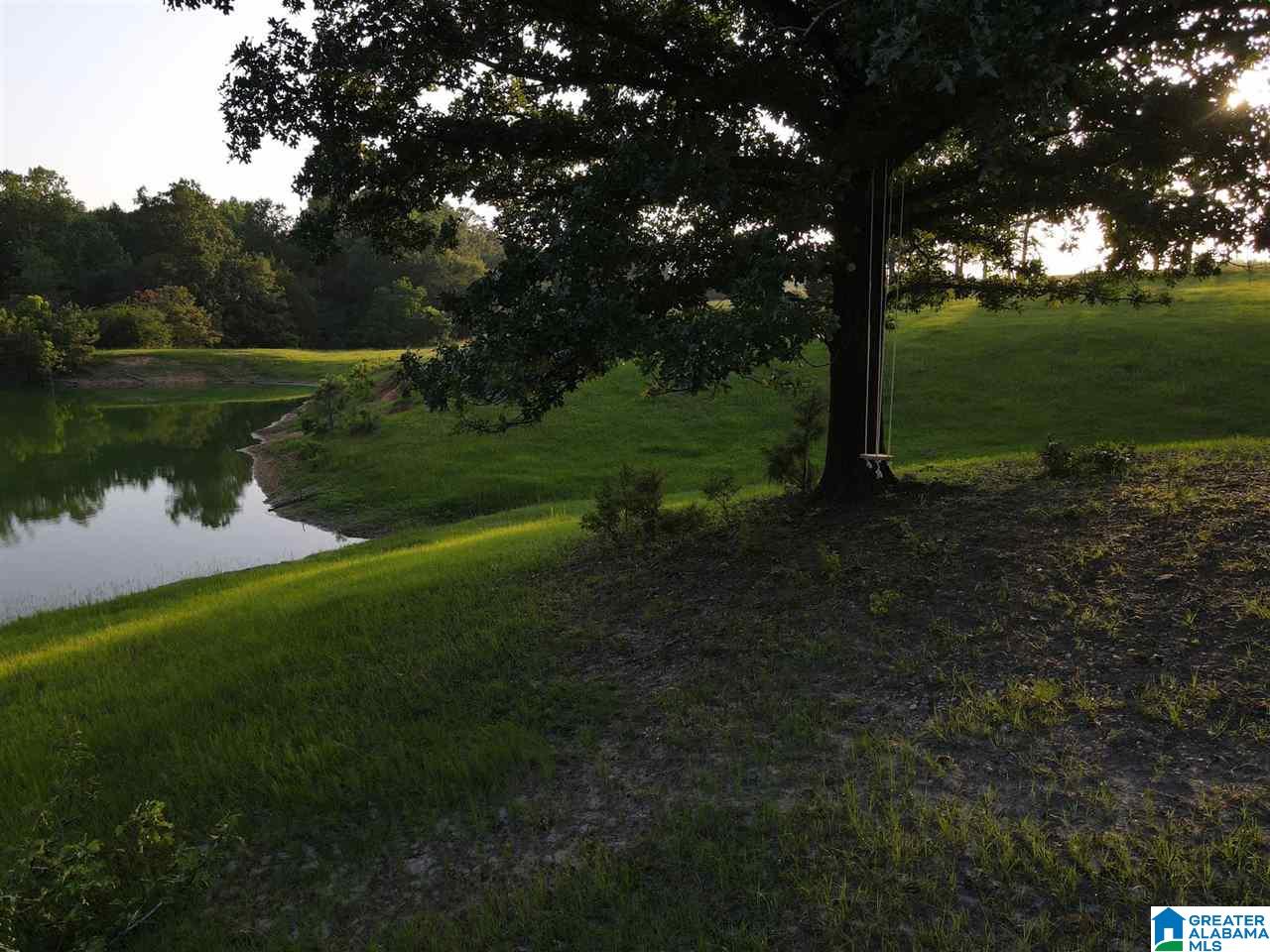 631 County Road 16 Clanton, AL 35045 - Photo 30 of 41