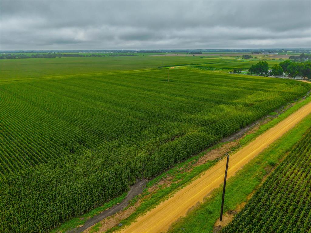 N/a Cathey Creek Road Holland, TX 76534 - Photo 20 of 23