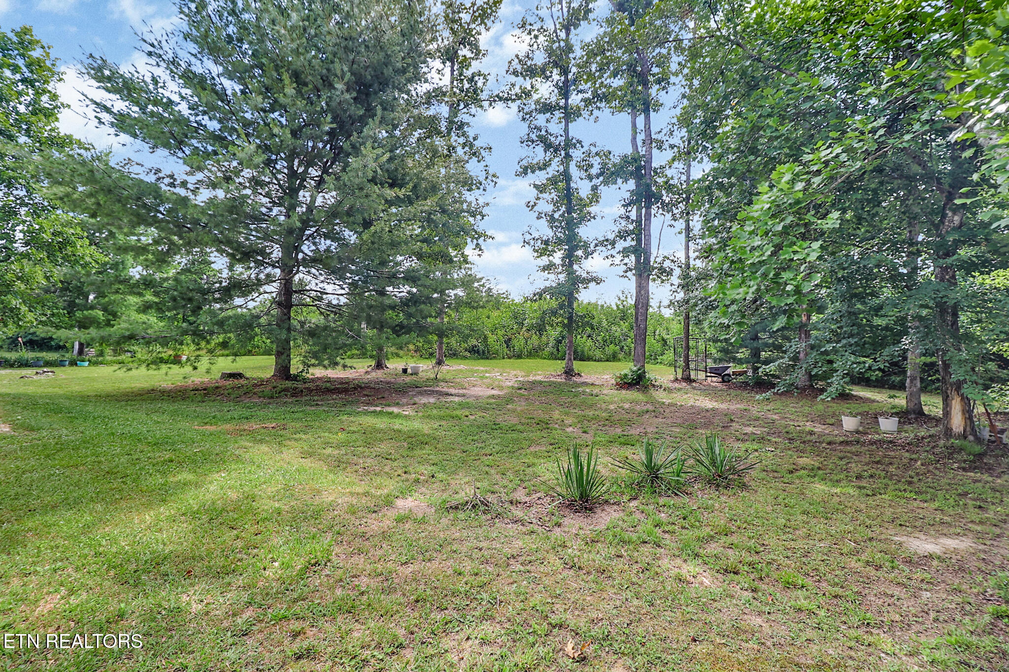 3426 Rugby Pike Jamestown, TN 38556 - Photo 46 of 46 sade/back yard