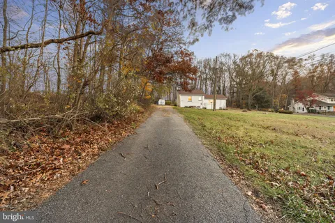 a view of a yard with trees on both side of it