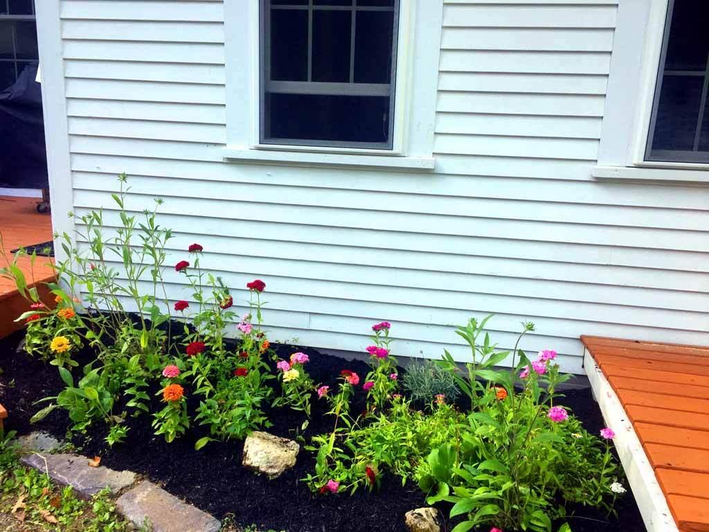 1472 Oxbow Road Oxbow, ME 04764 - Photo 15 of 101 flowers-1472-oxbow-rd-1