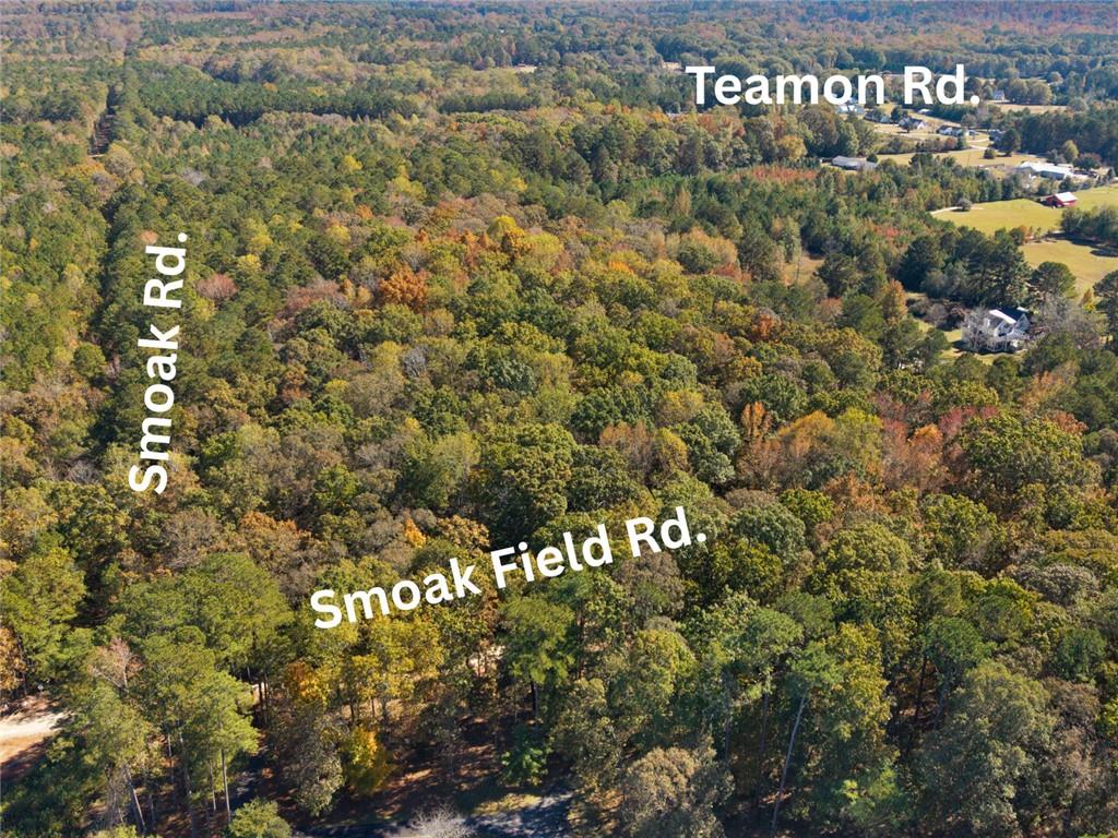 176 Smoak Field Road Griffin, GA 30223 - Photo 3 of 13 a view of a bunch of trees and bushes
