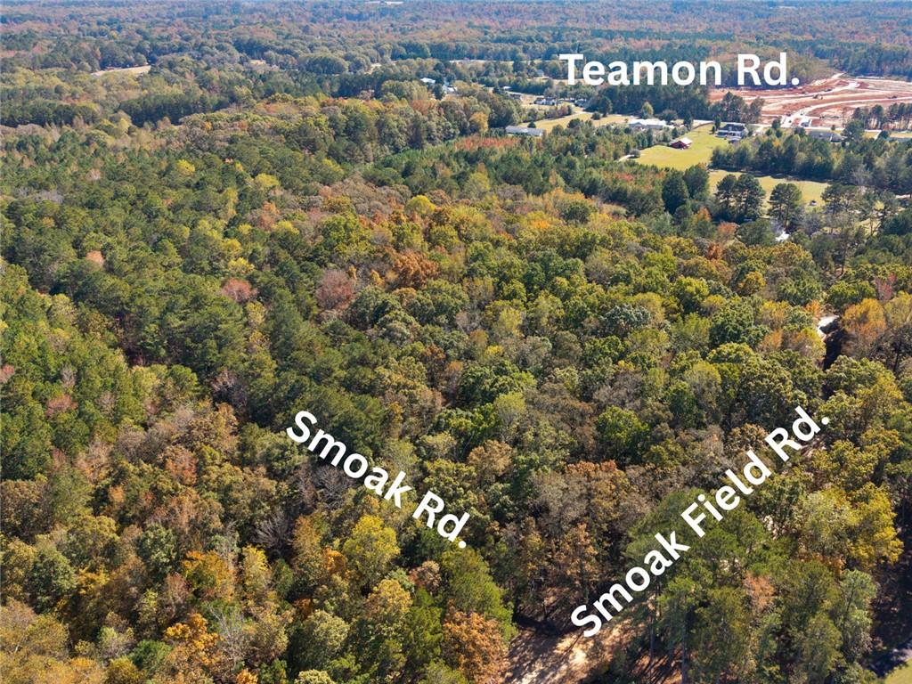 176 Smoak Field Road Griffin, GA 30223 - Photo 5 of 13