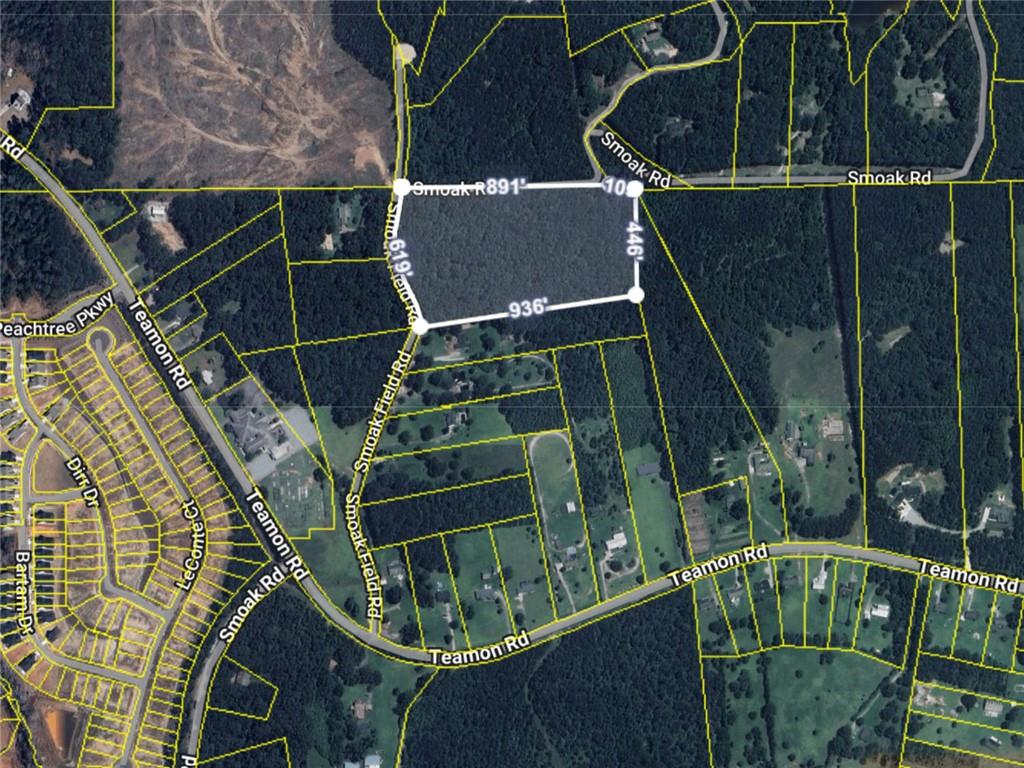 176 Smoak Field Road Griffin, GA 30223 - Photo 10 of 13