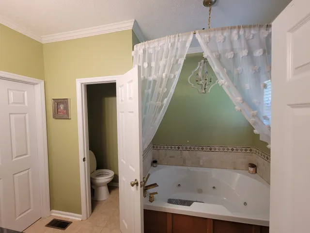 a bathroom with a bathtub and a toilet