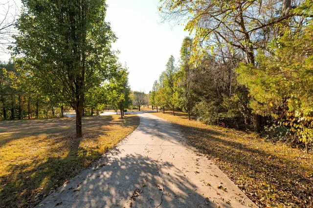 a view of swimming pool