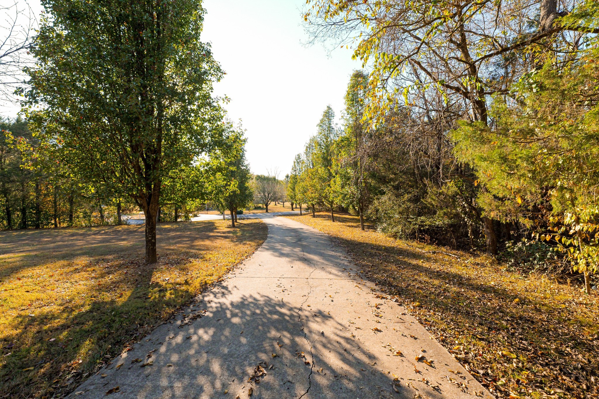 575 Haywood Creek Road Pulaski, TN 38478 - Photo 28 of 29 a view of yard with trees
