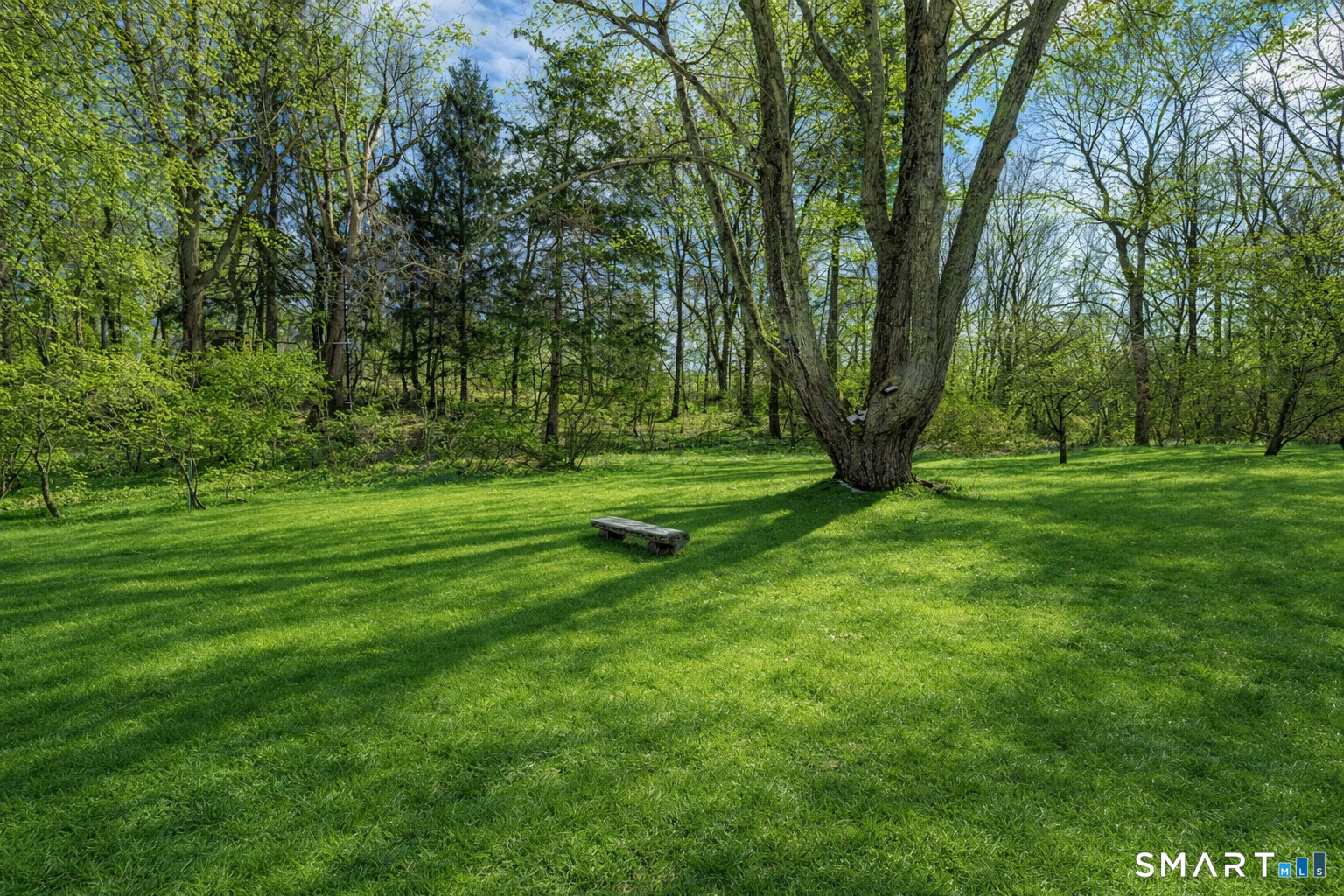 340 Sturges Ridge Road Wilton, CT 06897 - Photo 4 of 40 a view of a park with trees in the background