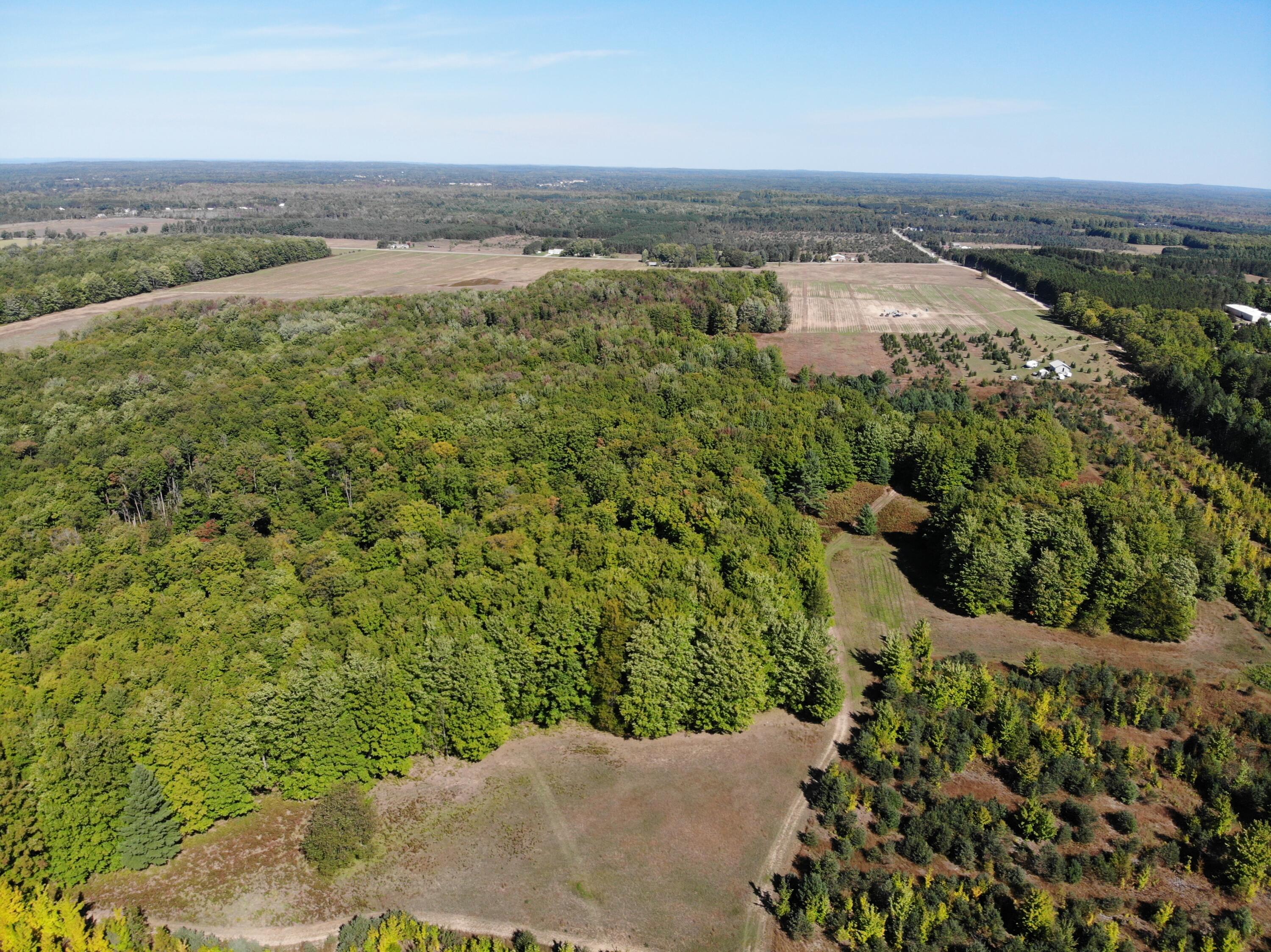 815 Anderson Road Southeast Kalkaska, MI 49646 - Photo 13 of 32 DJI_0682