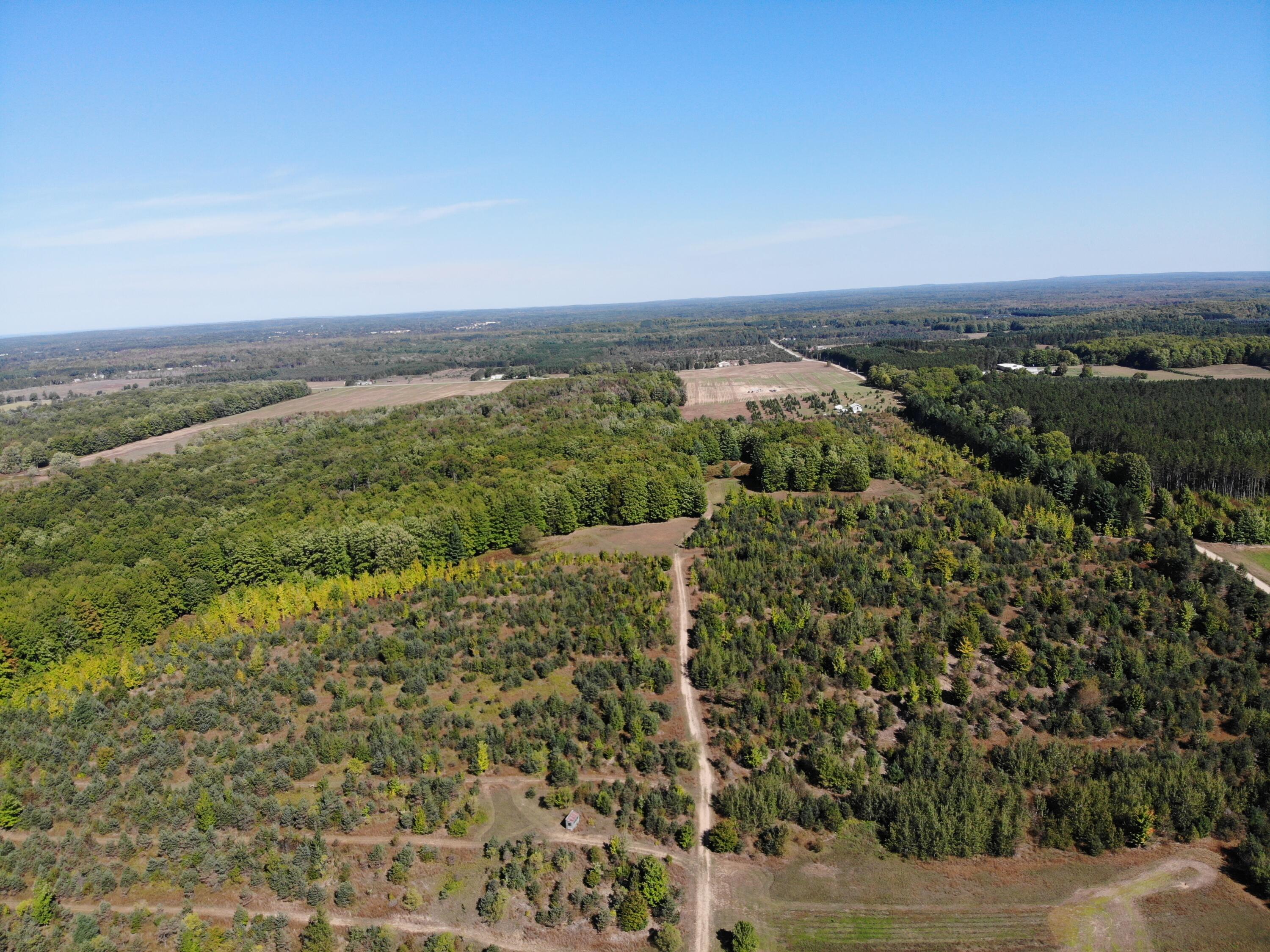 815 Anderson Road Southeast Kalkaska, MI 49646 - Photo 7 of 32 DJI_0672