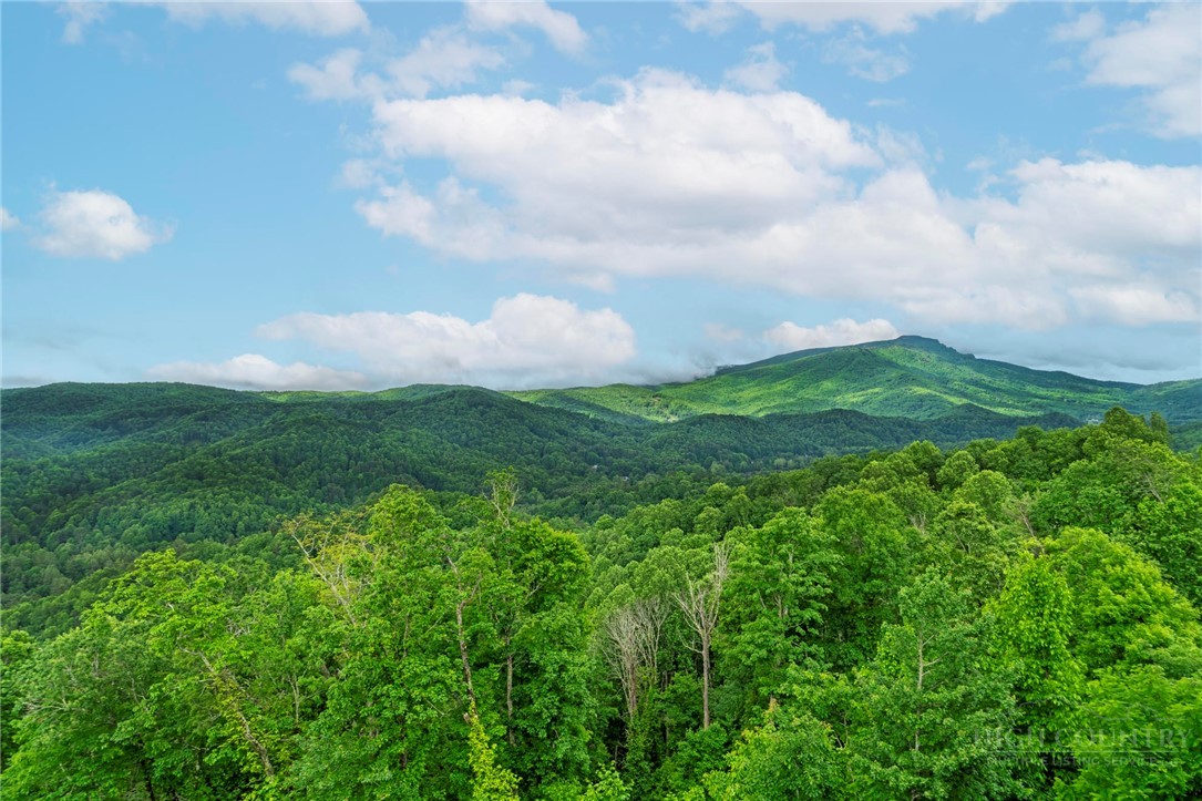 170 Profile Point, Unit S321 Boone, NC 28607 - Photo 9 of 50