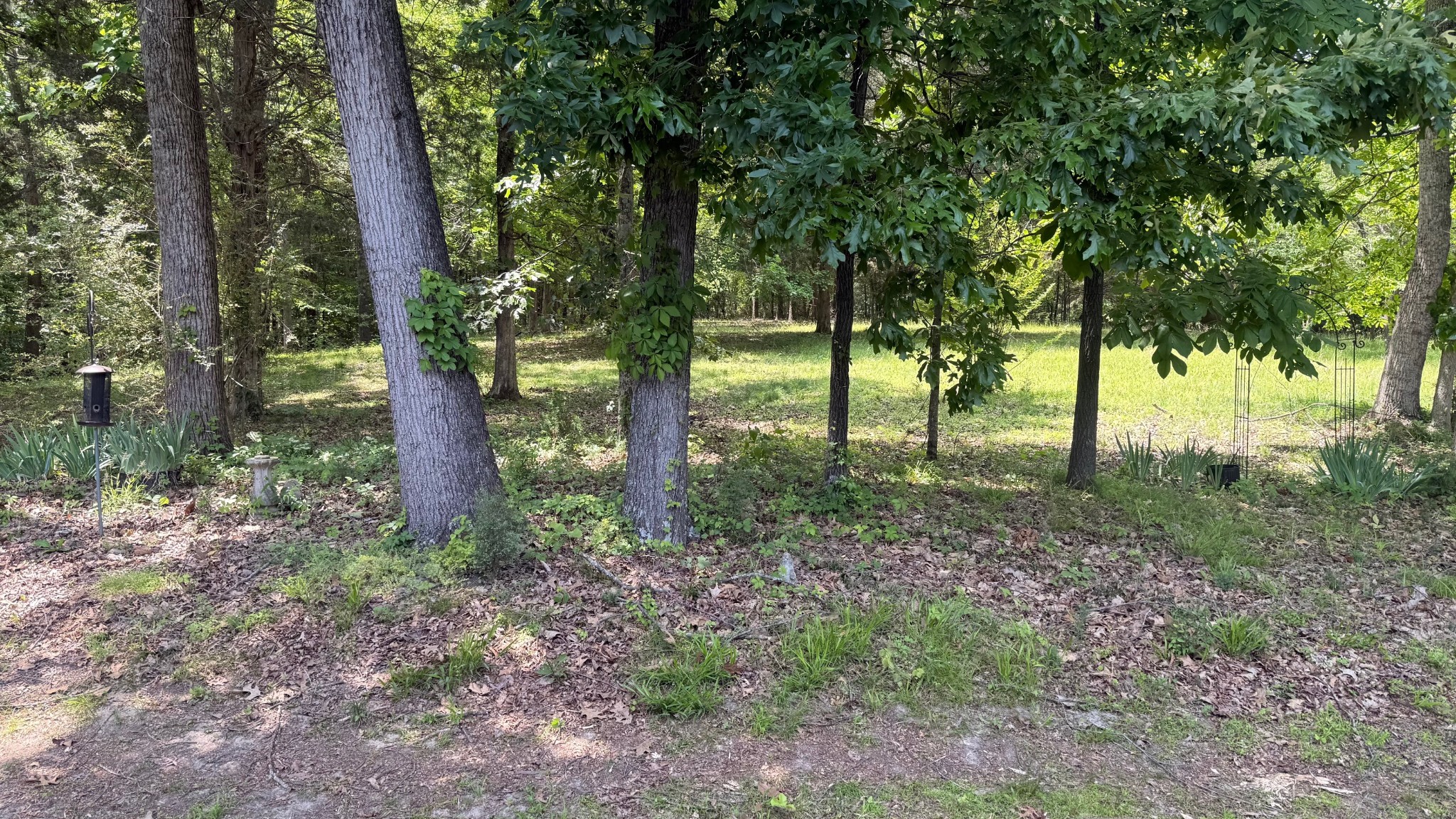 5260 New Cut Road Greenbrier, TN 37073 - Photo 9 of 9