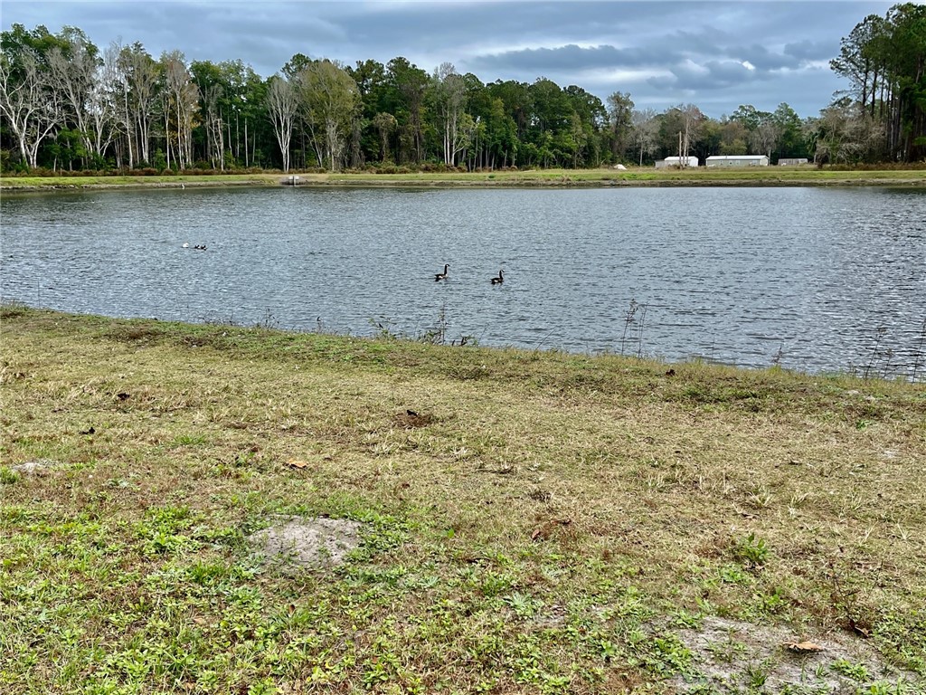 86114 Harry Green Road Yulee, FL 32097 - Photo 16 of 24 a view of a lake with houses in the background