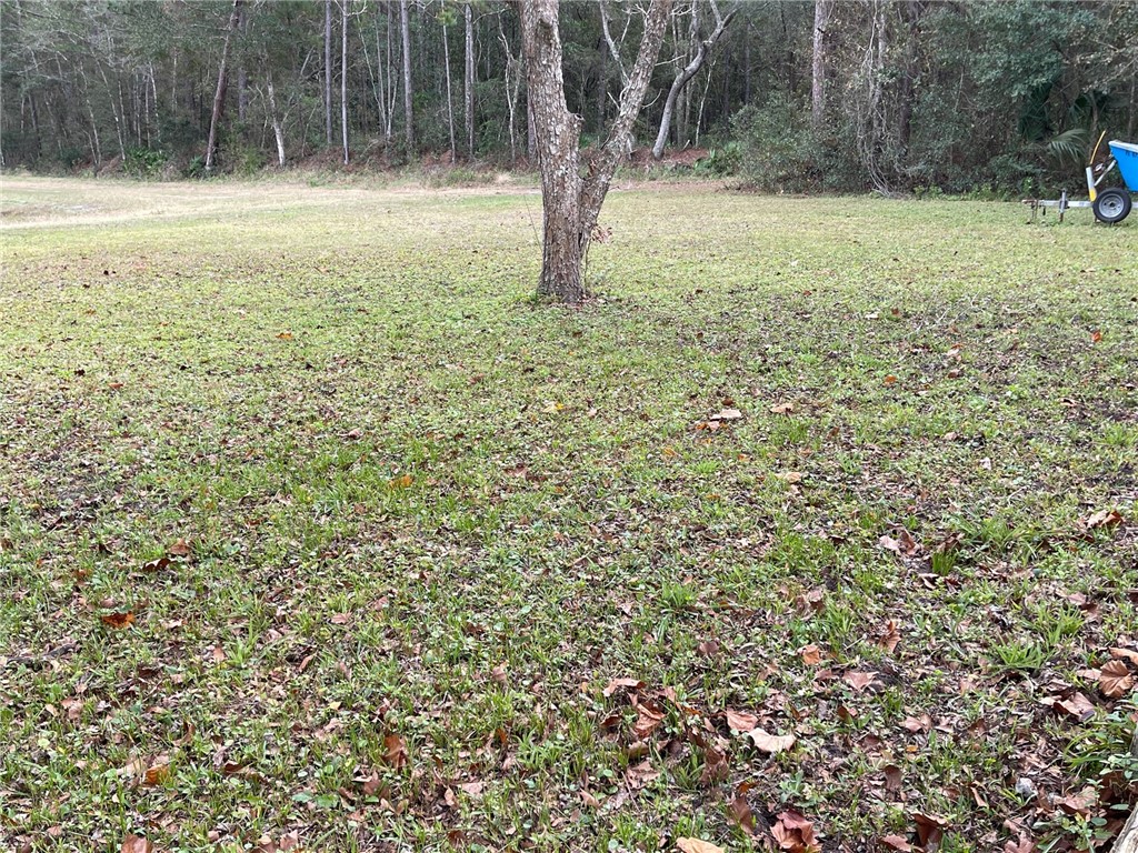 86114 Harry Green Road Yulee, FL 32097 - Photo 23 of 24 a view of outdoor space with deck and yard