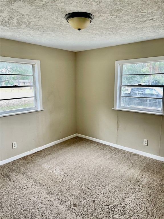 86114 Harry Green Road Yulee, FL 32097 - Photo 5 of 24 a view of an empty room with a fireplace