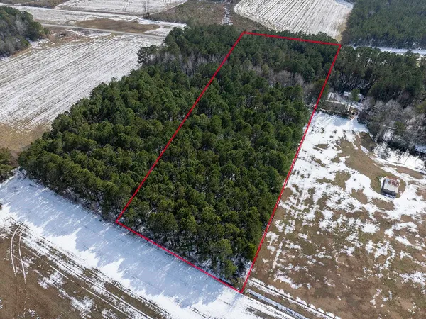 $168,000 | Tbd Carroll Todd Road, Conway, SC 29526