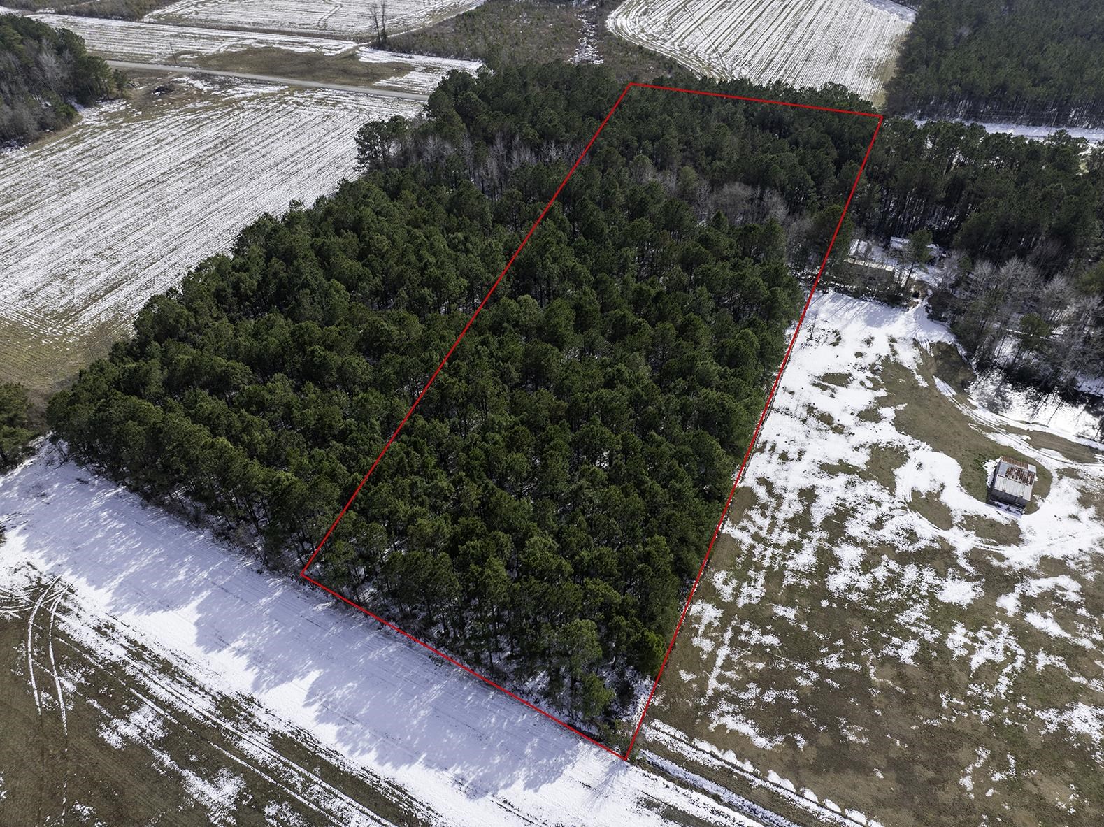 Tbd Carroll Todd Road Conway, SC 29526 - Photo 3 of 7