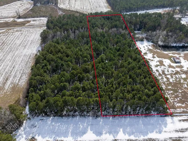 $168,000 | Tbd Carroll Todd Road, Conway, SC 29526